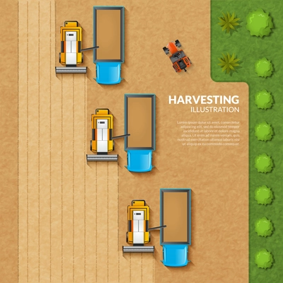 Harvesting concept with top view grain field with argicultural machinery vector illustration
