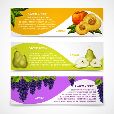 Mixed natural organic sweet fruits banners collection of pear peach and grapes for cafe dessert menu design template vector illustration