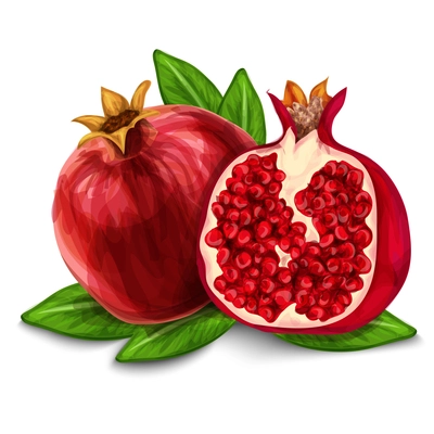 Natural organic sweet cut and sliced pomegranate with leaf and seeds tropical fruit decorative poster or emblem isolated vector illustration