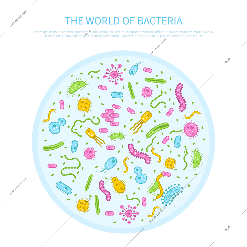 Different colored bacteria in petri glass flat microbiology concept vector illustration