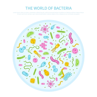 Different colored bacteria in petri glass flat microbiology concept vector illustration