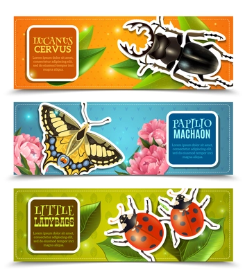 Insects horizontal banners set with ladybugs and machaon realistic isolated vector illustration