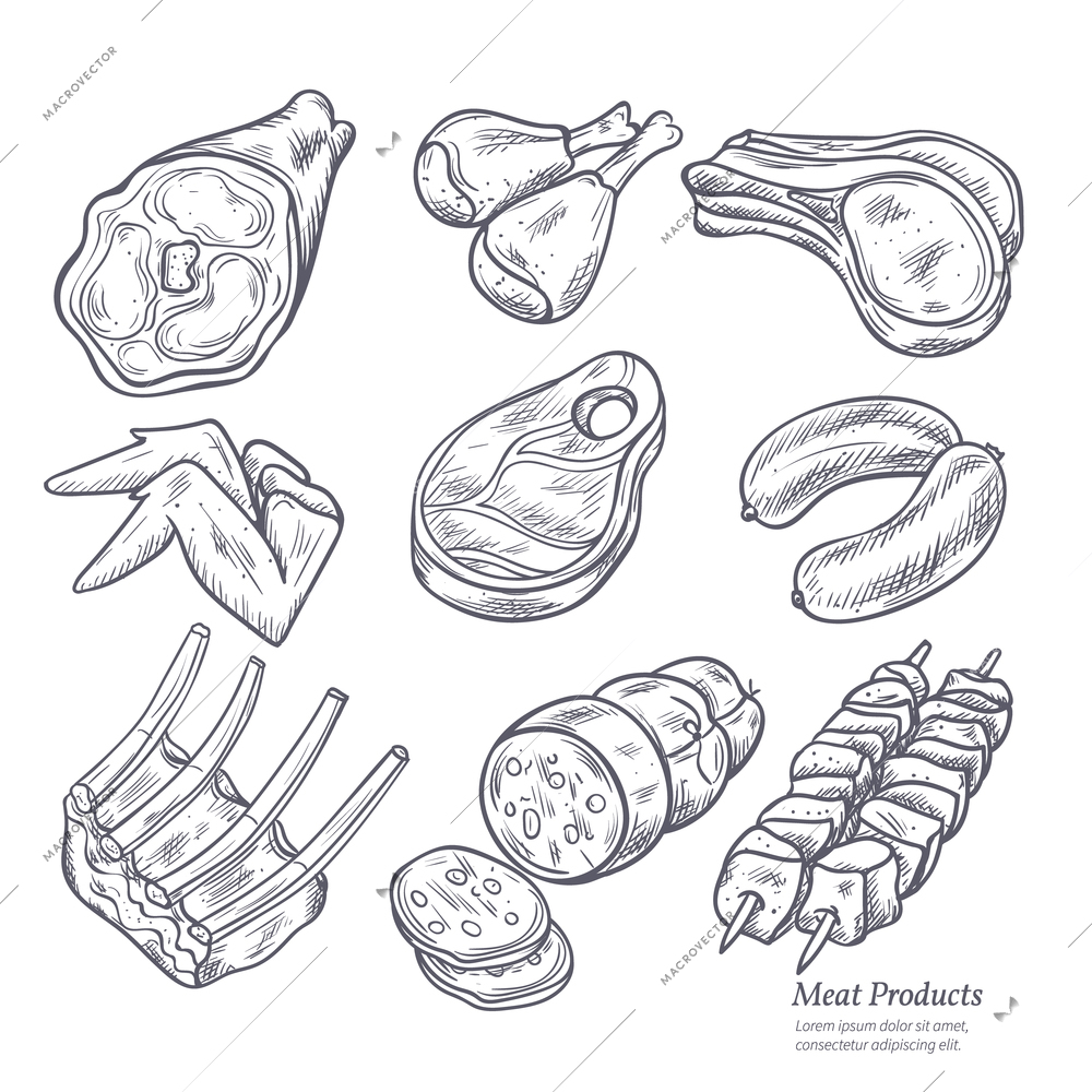 Gastronomic meat products sketches set in retro style on white background vector isolated illustration