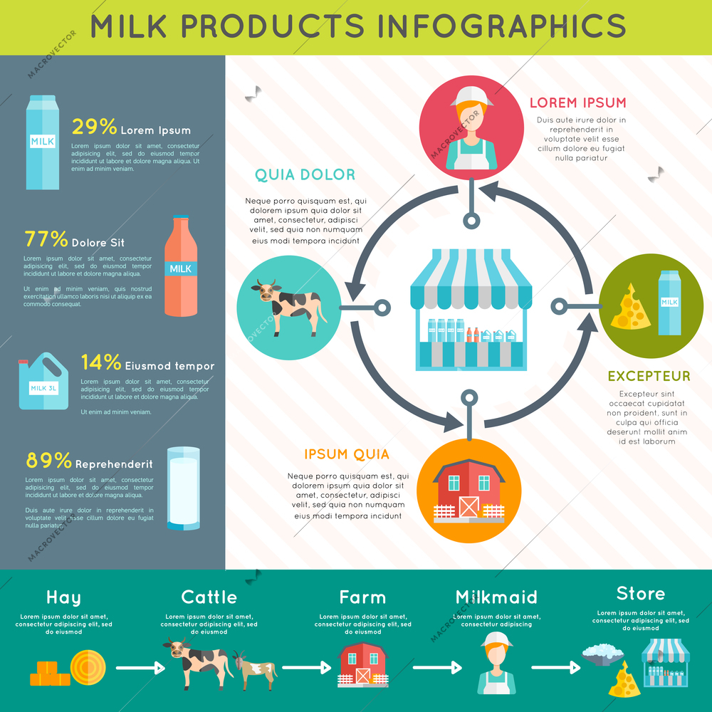 Ecological milk farm dairy production technological process and varieties  graphic presentation infographic poster layout abstract vector illustration