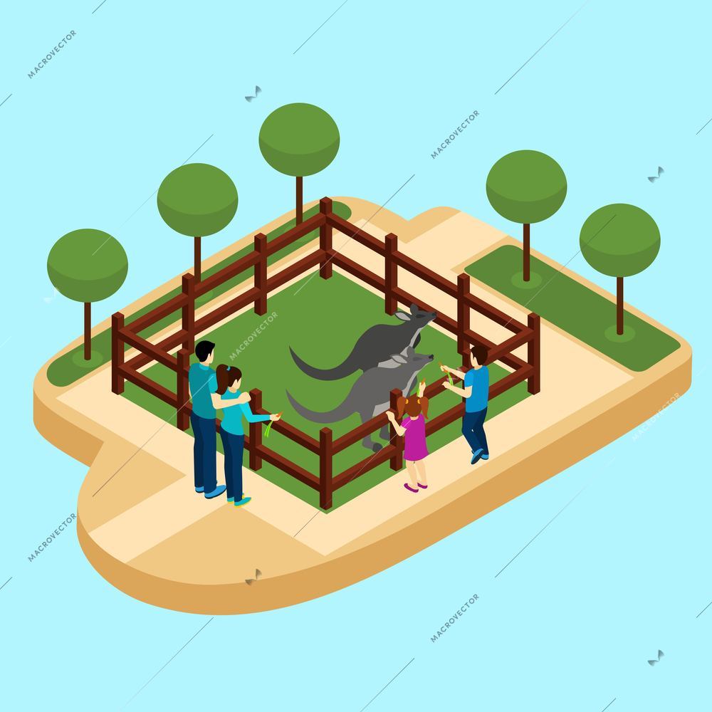 Zoo with family watching kangaroos on blue background isometric vector illustration