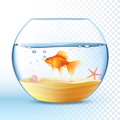 Goldfish swimming in round fishbowl with shell and starfish on the sand bottom poster abstract vector illustration
