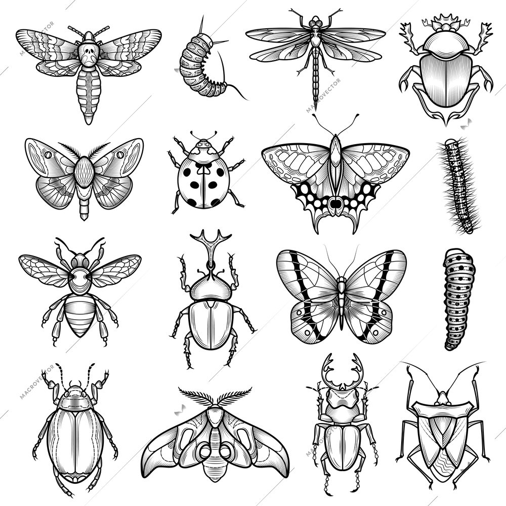 Insects black white line icons set with dragonfly and caterpillar flat isolated vector illustration