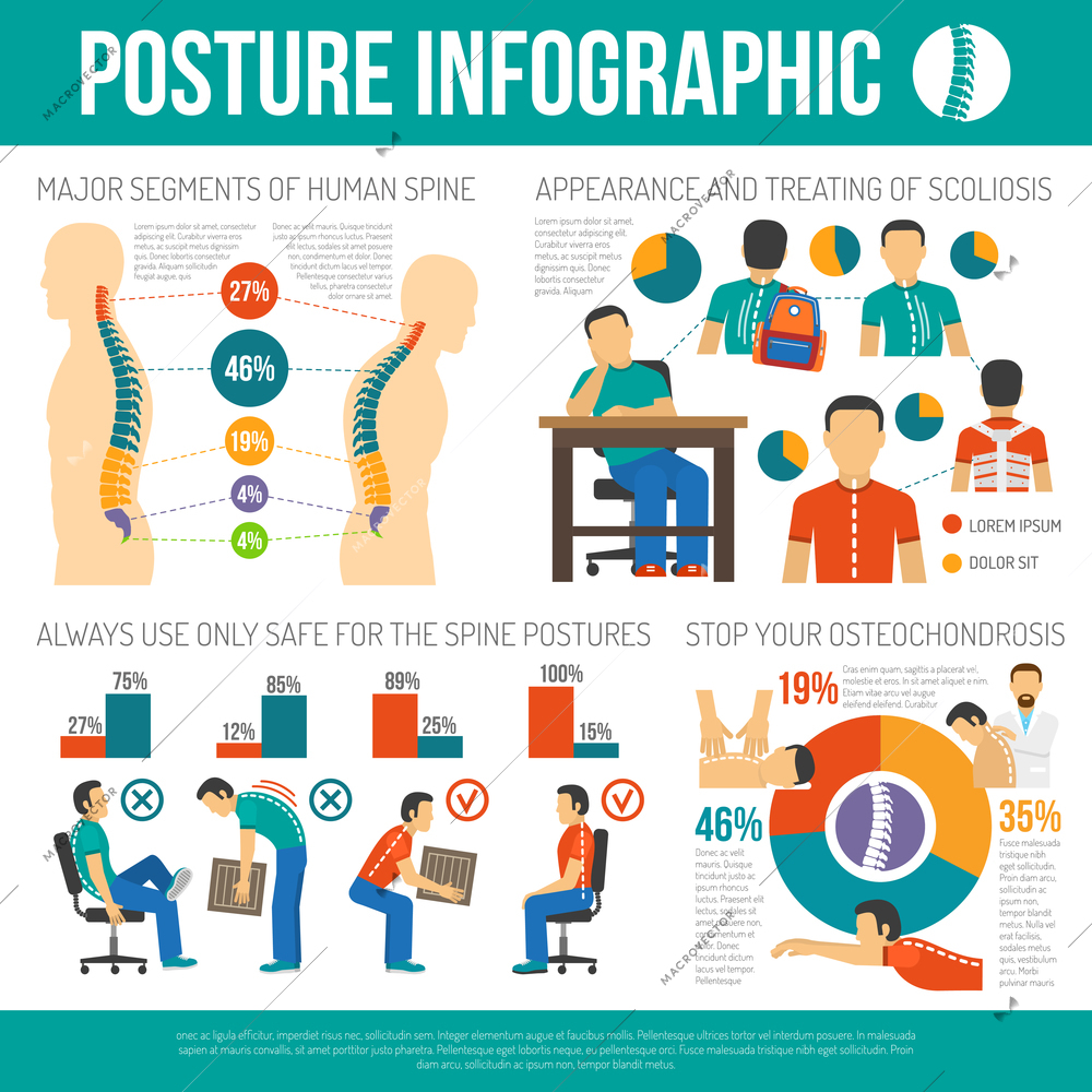 Posture infographics layout with major segments of human spine information and appearance and treating of scoliosis and osteochondrosis statistics flat vector illustration