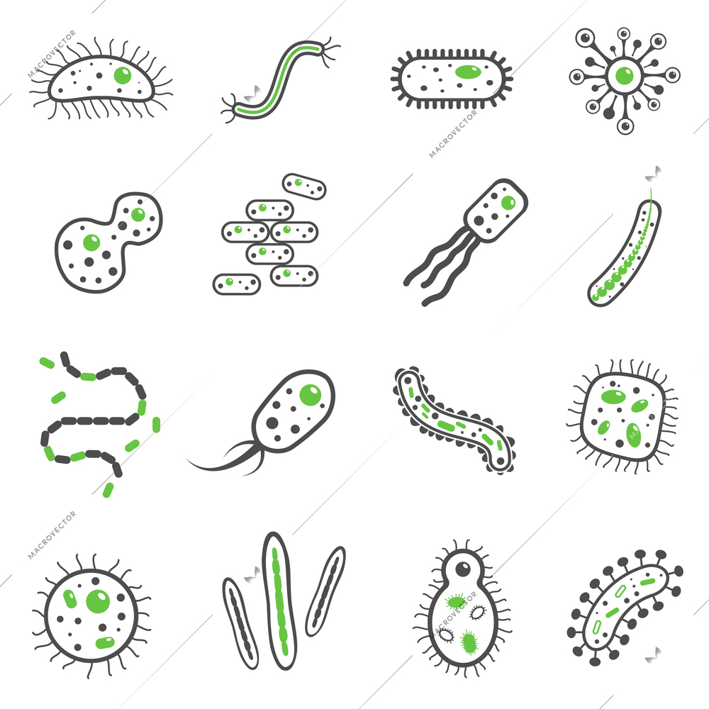 Bacteria and pathogen microbe black icons set isolated vector illustration