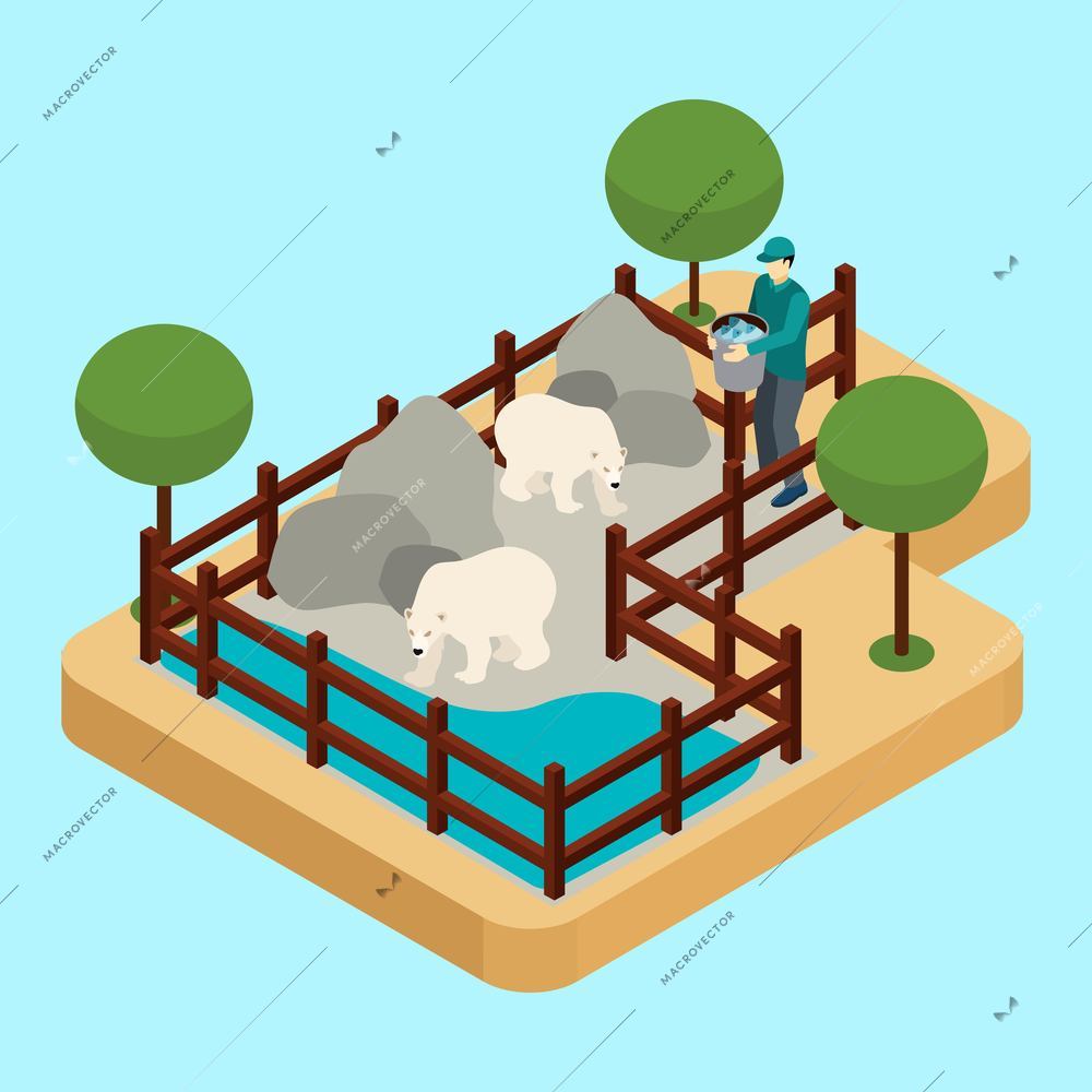 Zoo worker and polar bears with rocks and water on blue background isometric vector illustration