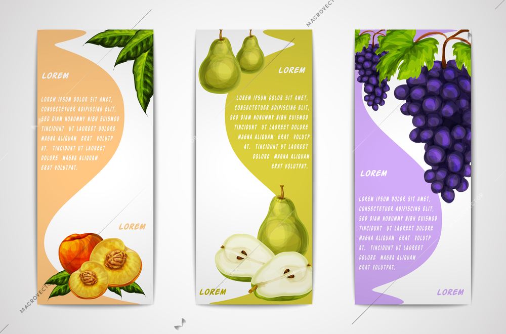 Mixed natural organic sweet fruits vertical banners collection of pear peach and grapes for cafe dessert menu design template vector illustration