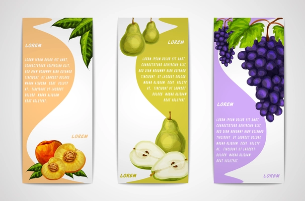 Mixed natural organic sweet fruits vertical banners collection of pear peach and grapes for cafe dessert menu design template vector illustration