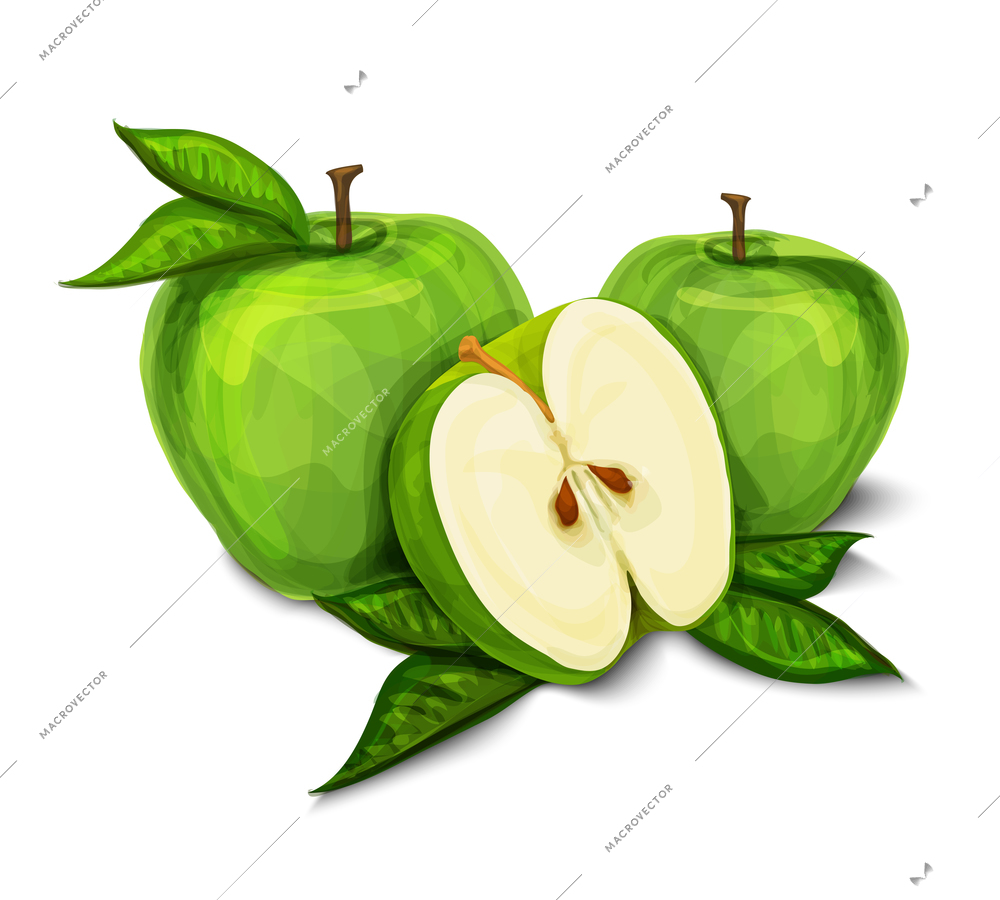 Green natural organic sweet apple fruit sliced in half with seeds and leaves isolated hand drawn sketch vector illustration