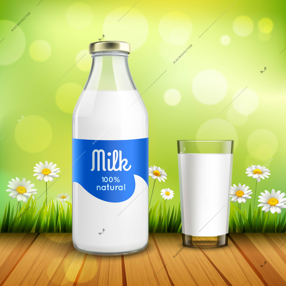 Closed bottle of natural milk with glossy cap and full glass of milk at green background with chamomiles vector illustration