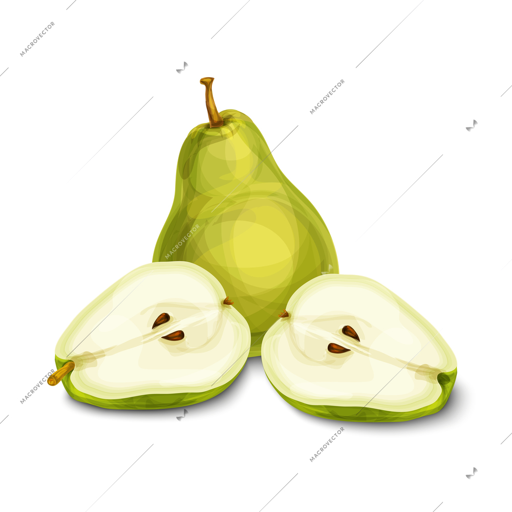 Green natural organic sweet pear fruit sliced in half with seeds isolated hand drawn sketch vector illustration