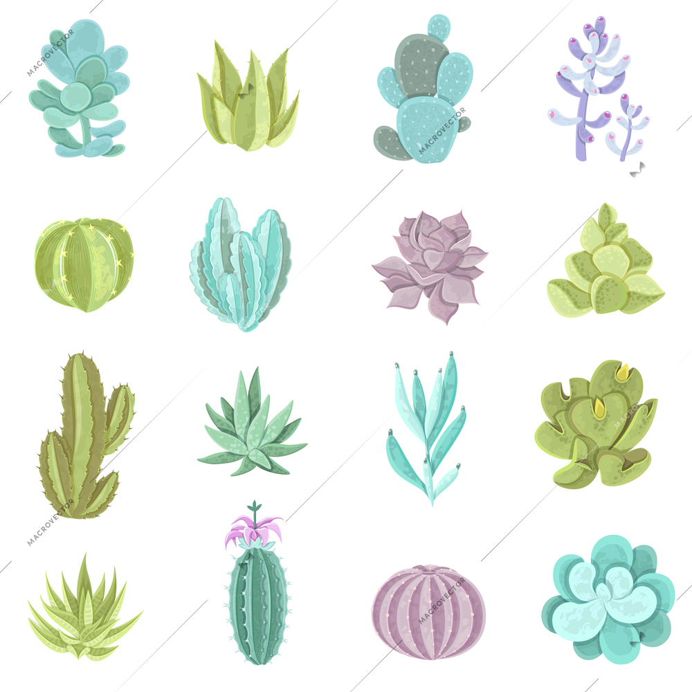 Decorative different types of cactus icons set with thorns flat isolated vector illustration