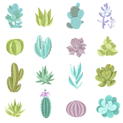 Decorative different types of cactus icons set with thorns flat isolated vector illustration