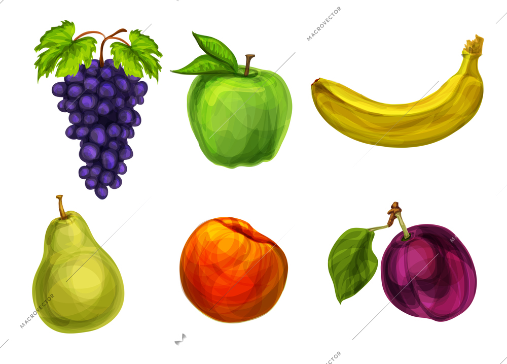 Collection of fresh organic fruits grape apple banana pear plum and peach isolated vector illustration