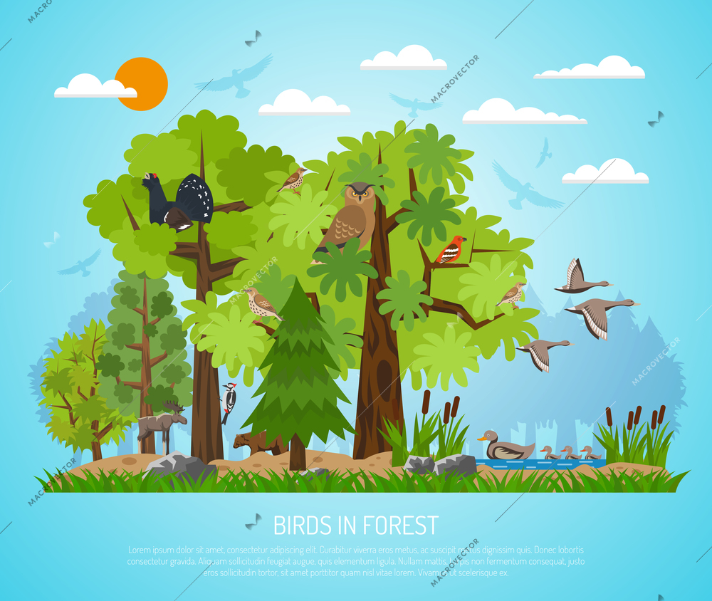 Forest poster with different trees pond various birds and few animals on blue background flat vector illustration