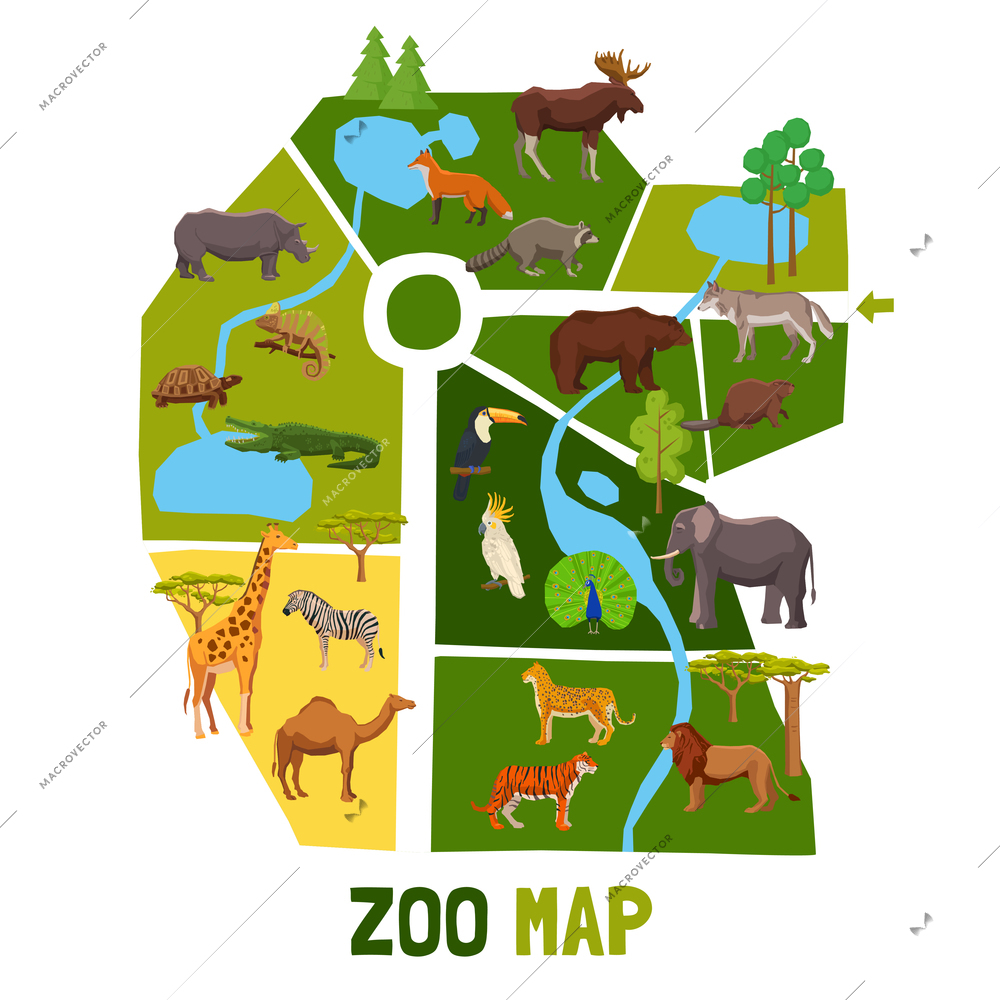 Cartoon zoo map with african animals tropical birds and inhabitants of taiga flat vector illustration