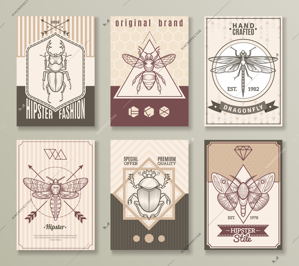 Insects hipster cards set with dragonfly and beetles flat isolated vector illustration