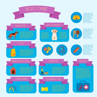 Dog care infographic banner with health care and behavior trainings information informative blocks layout abstract vector illustration