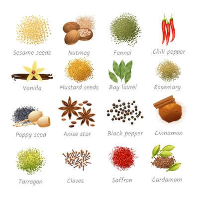 Icons set with titles of piquant food ingredients and fragrant spices realistic isolated vector illustration