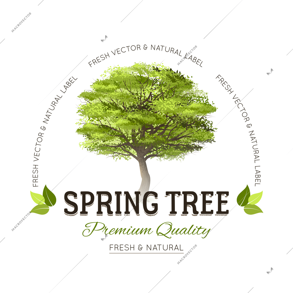 Typography logo emblem with realistic green spring tree and premium quality text vector illustration