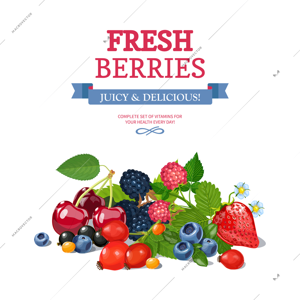 Delicious fresh wild and garden berries mix  for daily vitamins consumption colorful background poster abstract vector illustration