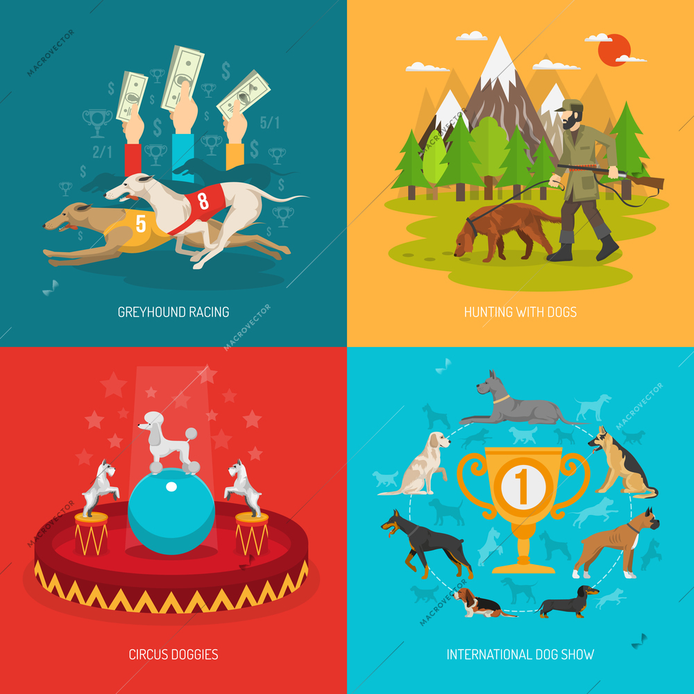 Dog breeds design concept set with circus racing and hunting animals flat icons isolated vector illustration