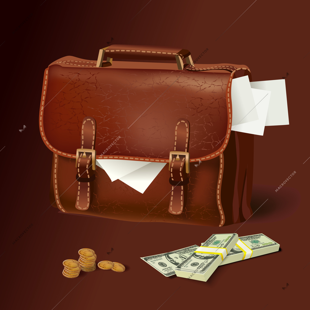 Classic modern brown leather business briefcase with documents money and coins concept vector illustration