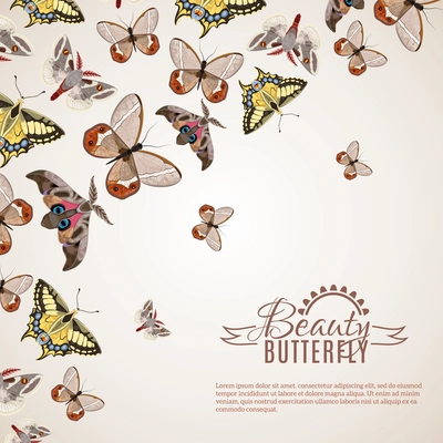 Beautiful butterfly decorative background with different moths and machaons vector illustration