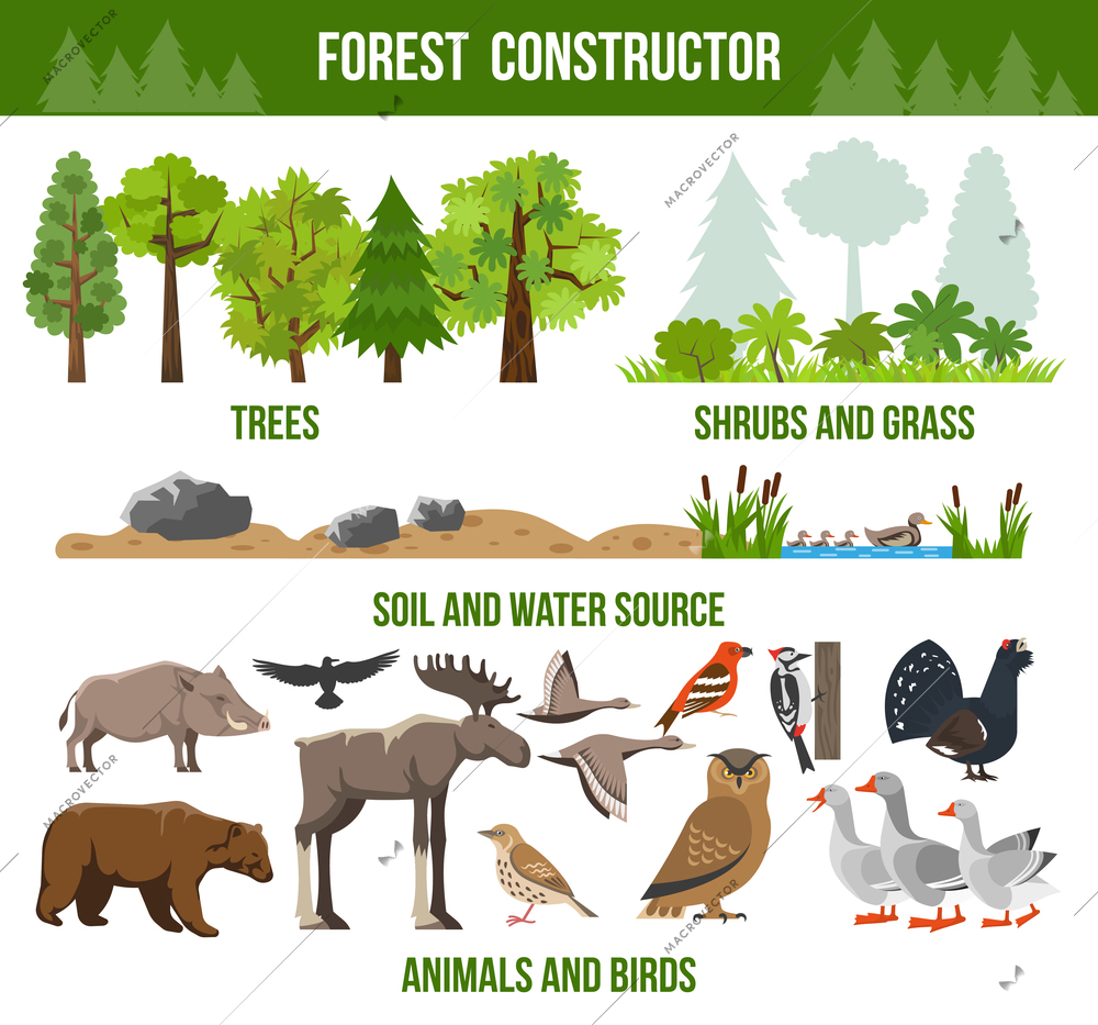 Forest constructor poster with trees shrubs and grass animals and birds source packs flat isolated vector illustration