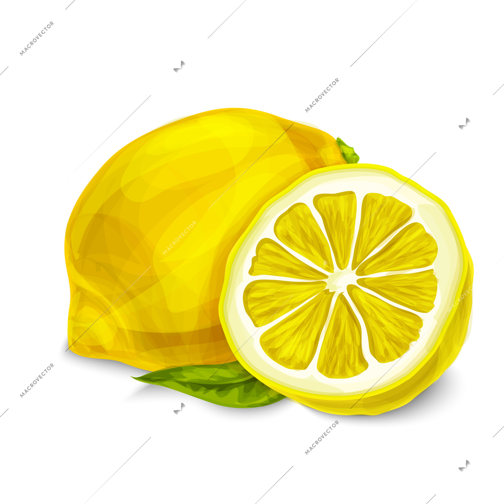 Natural organic sour cut and sliced lemon with leaf tropical fruit decorative poster or emblem isolated vector illustration