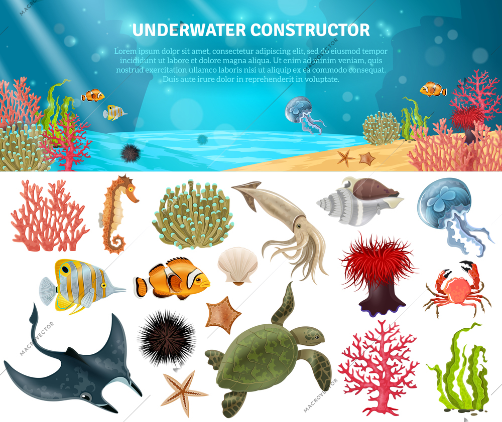 Sea life animals plants and landscape cartoon icons constructor set vector illustration