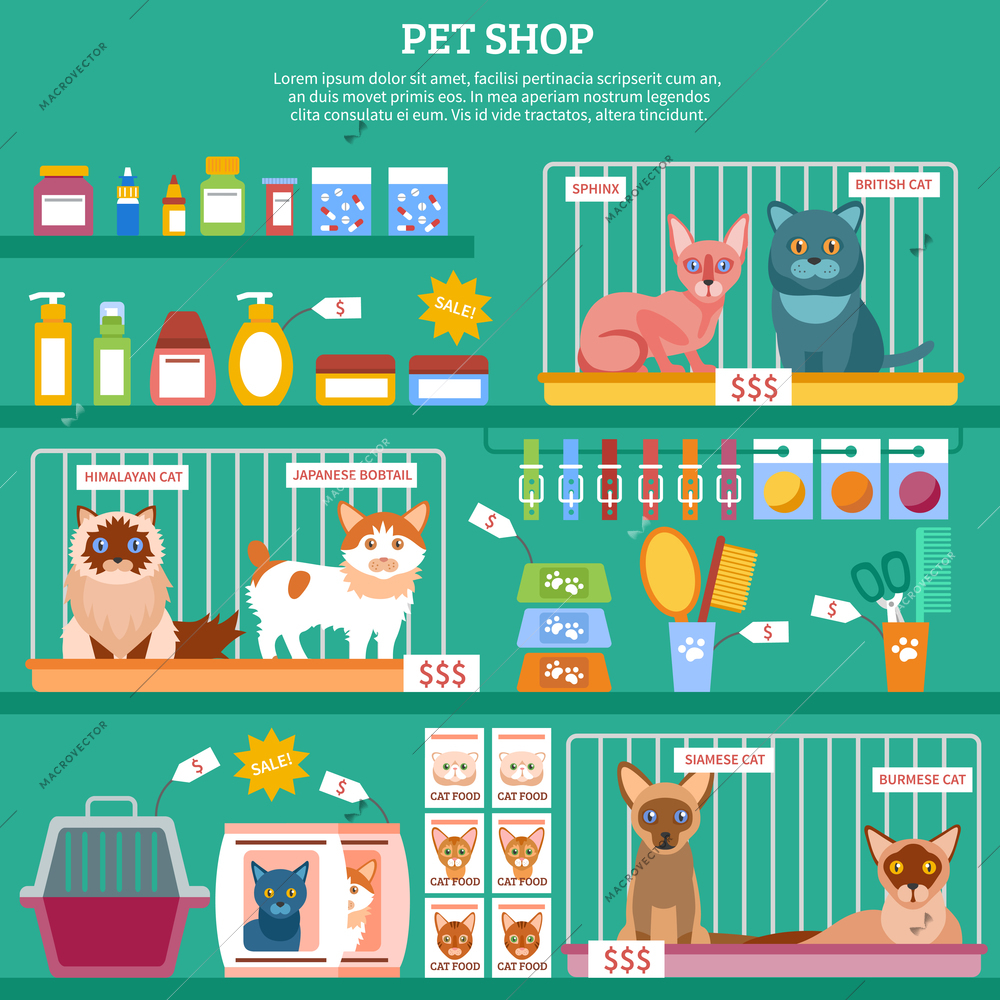 Pet shop concept with flat cat breed icons vector illustration