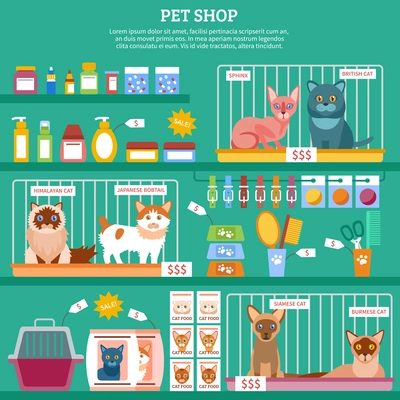 Pet shop concept with flat cat breed icons vector illustration