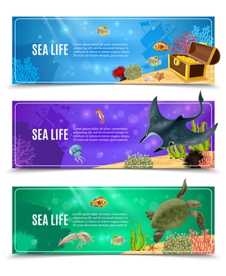 Variants of underwater sea life and seabed decorative banner set  vector illustration