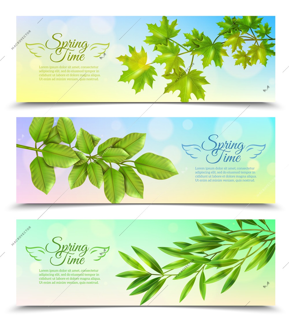 Three horizontal banners with green branches of deciduous trees in sun rays background flat vector illustration