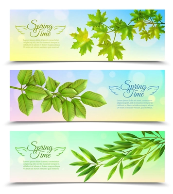 Three horizontal banners with green branches of deciduous trees in sun rays background flat vector illustration