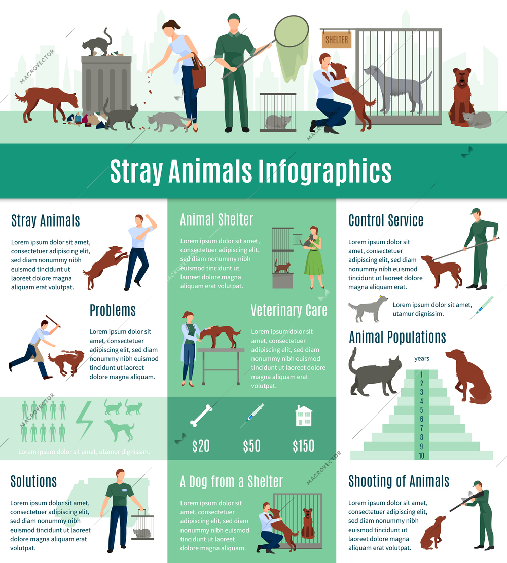 Stray animals infographics set with the calculation value on veterinary services population number of animals from a shelter who gained home vector illustration