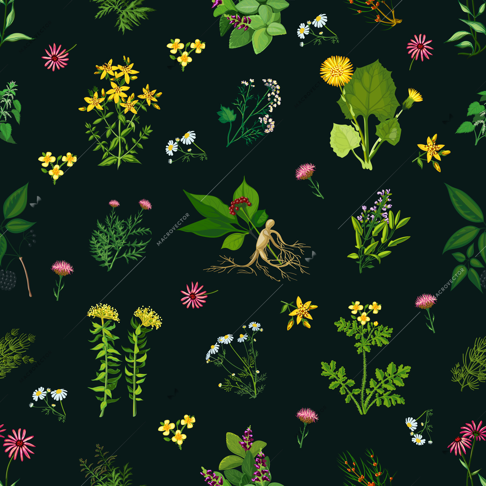 Seamless color pattern with dark background depicting different medicinal herbs vector illustration