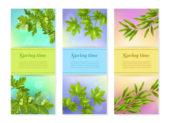 Bright colorful spring collection of vertical banners with olive oak and maple branches at sun glare background flat vector illustration