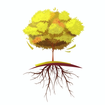 Single autumn tree with root on white background retro cartoon flat isolated vector illustration