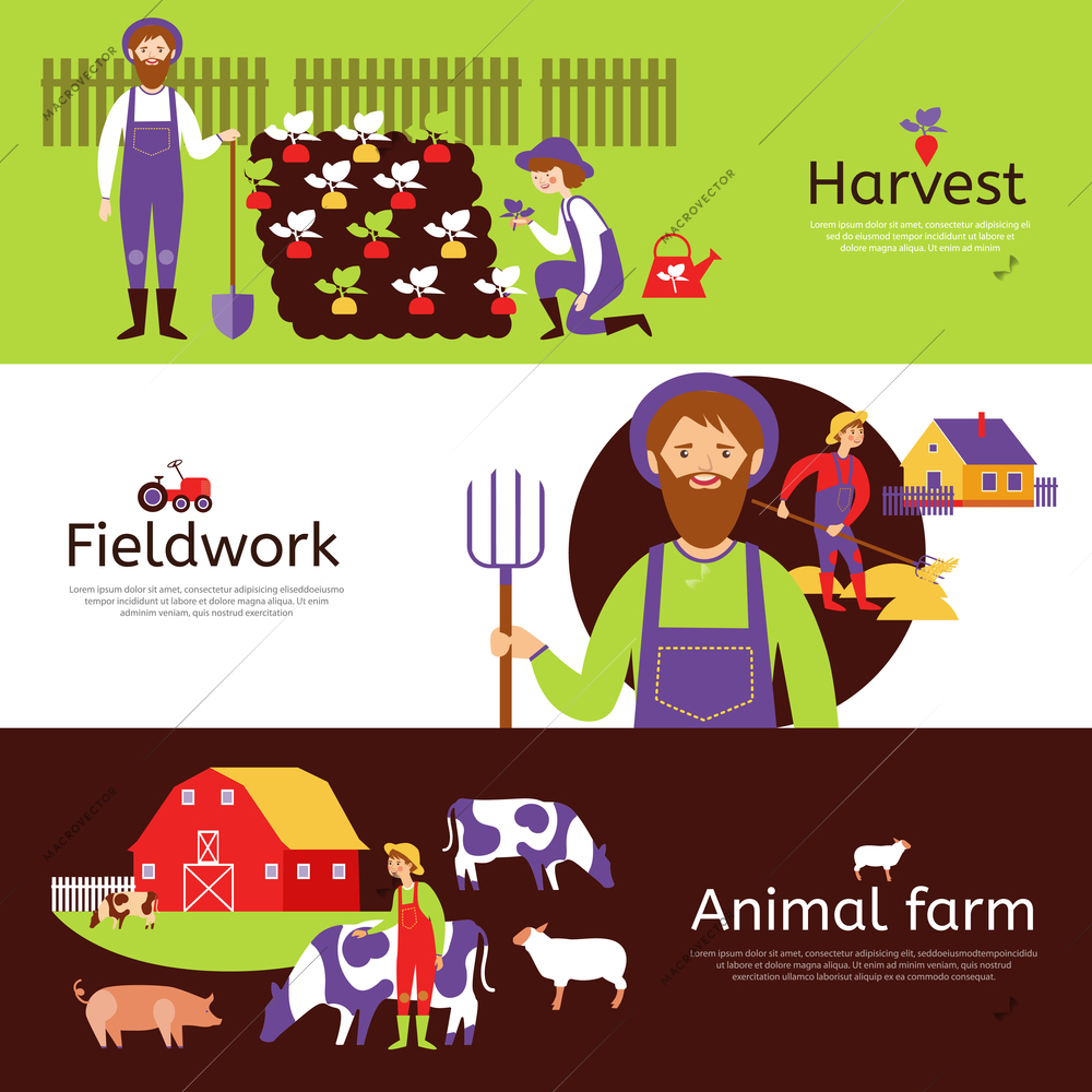 Fieldwork harvesting and livestock animals farm 3 flat horizontal banners in countryside colors abstract isolated vector illustration