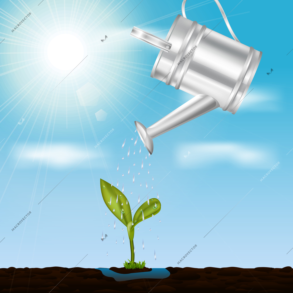 Young growing sprout in springtime design concept with metal watering at sky and sunlight  background vector illustration