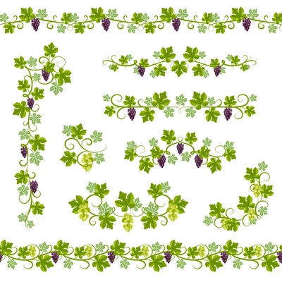 Seamless Background Pattern with vine branches and grape elements vector illustration