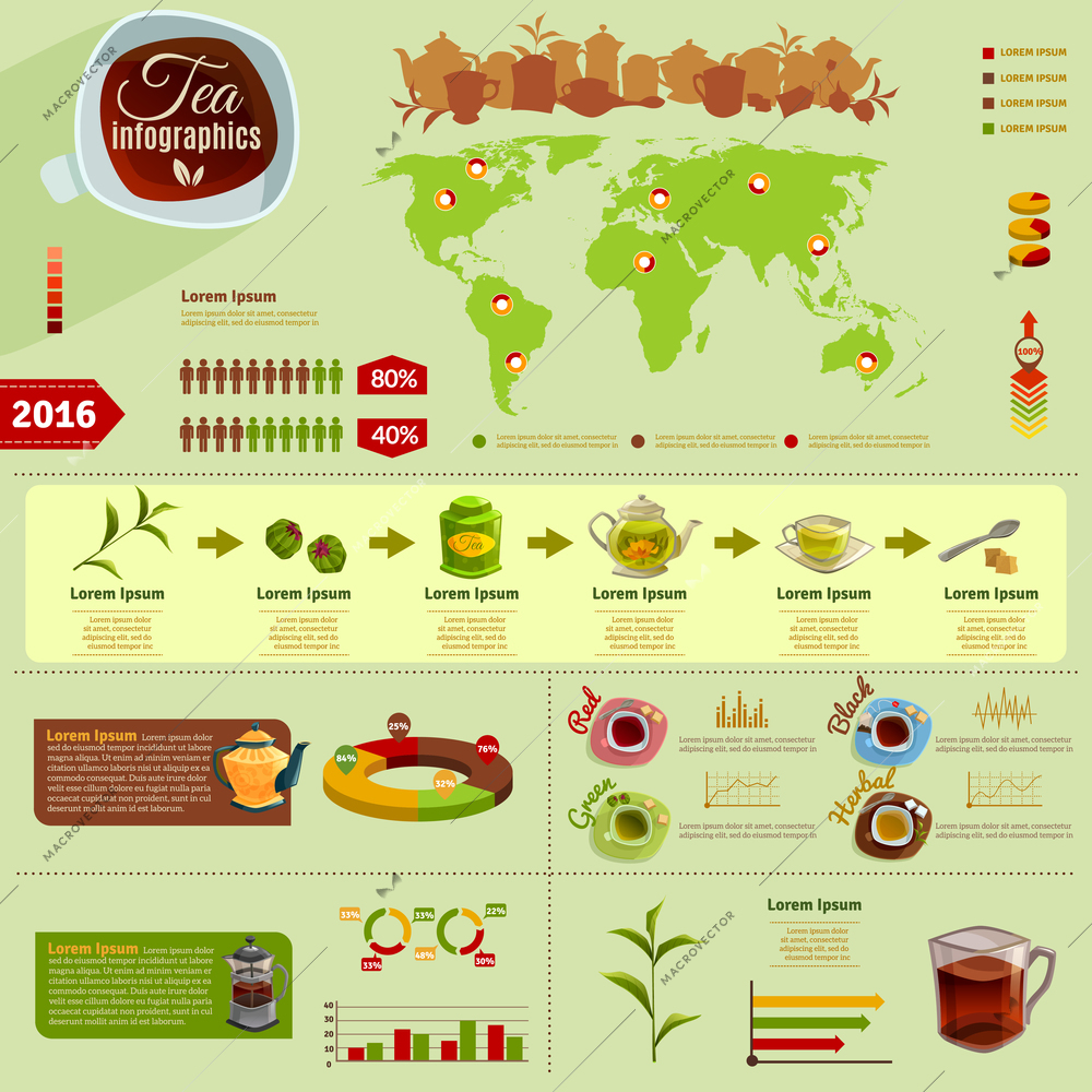 Infographics with production of tea and data on the worldwide charts and percentages vector illustration