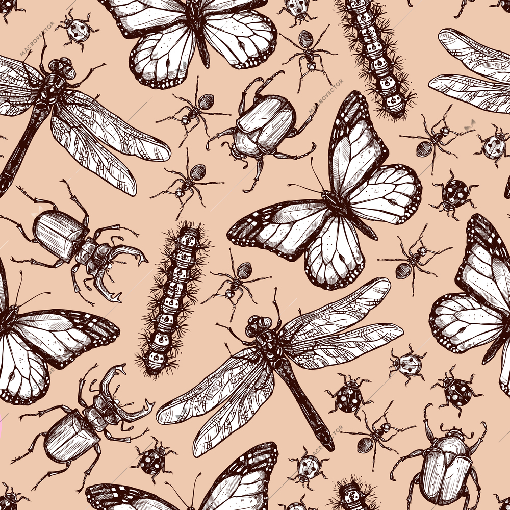 Vintage hand drawn sketch of different insects dragonfly butterfly beetle seamless pattern vector illustration