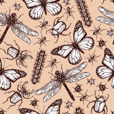 Vintage hand drawn sketch of different insects dragonfly butterfly beetle seamless pattern vector illustration